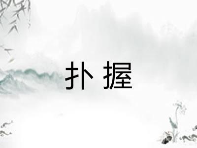 扑握 扑握