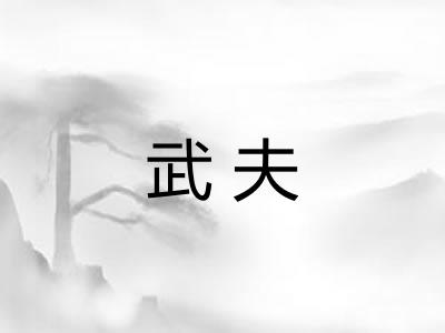 武夫 武夫