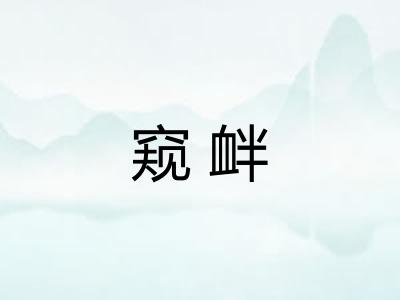 窥衅 窥衅