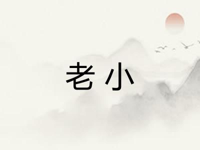 老小 老小