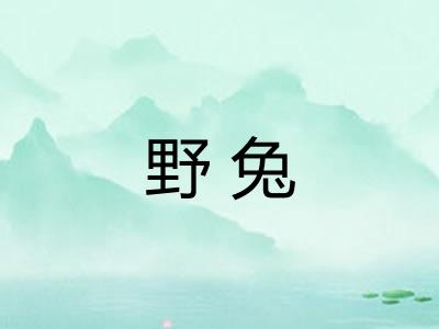 野兔 野兔