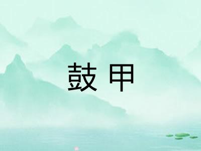 鼓甲 鼓甲