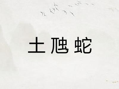 土虺蛇 土虺蛇