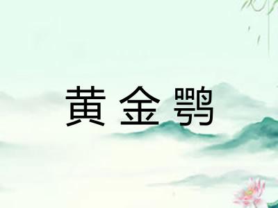 黄金鹗 黄金鹗