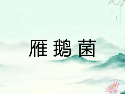 雁鹅菌 雁鹅菌