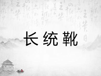 长统靴 长统靴