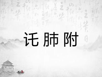讬肺附 讬肺附