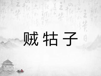 贼牯子 贼牯子