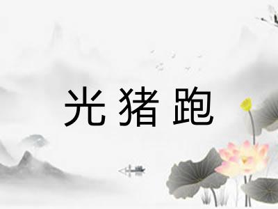 光猪跑 光猪跑