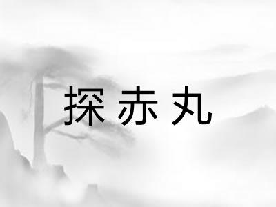 探赤丸 探赤丸