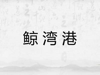鲸湾港 鲸湾港
