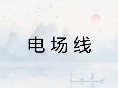 电场线 电场线