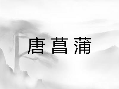 唐菖蒲 唐菖蒲