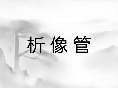 析像管 析像管