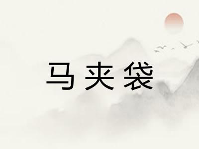 马夹袋 马夹袋