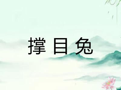 撑目兔 撑目兔