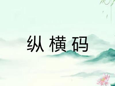 纵横码 纵横码