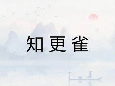 知更雀 知更雀