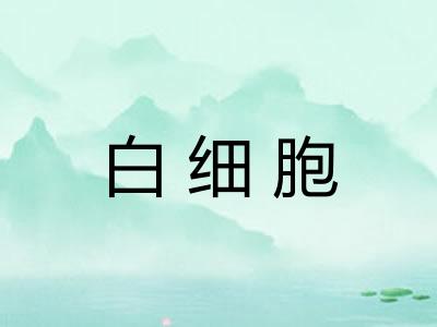 白细胞 白细胞