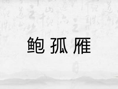 鲍孤雁 鲍孤雁