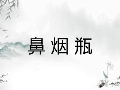 鼻烟瓶 鼻烟瓶