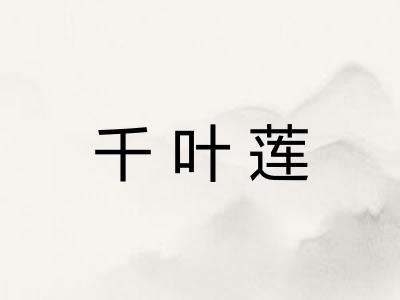 千叶莲 千叶莲