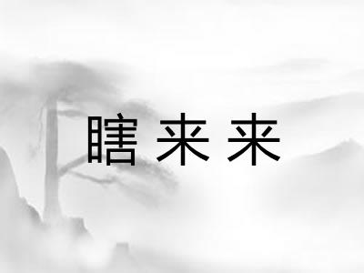 瞎来来 瞎来来