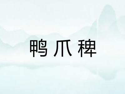 鸭爪稗 鸭爪稗