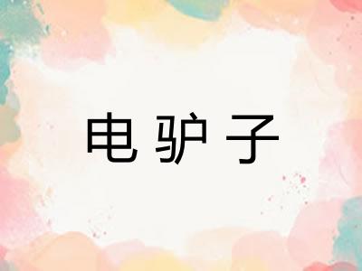 电驴子 电驴子