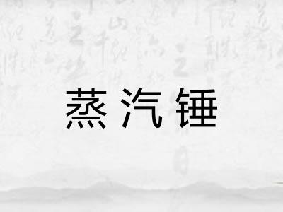 蒸汽锤 蒸汽锤