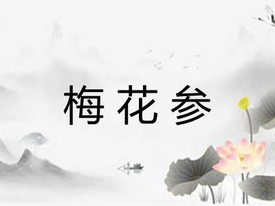 梅花参 梅花参