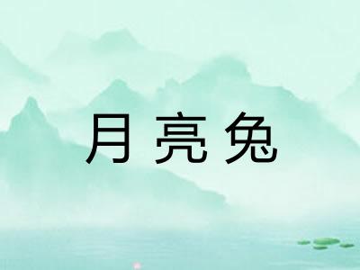 月亮兔 月亮兔