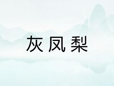 灰凤梨 灰凤梨