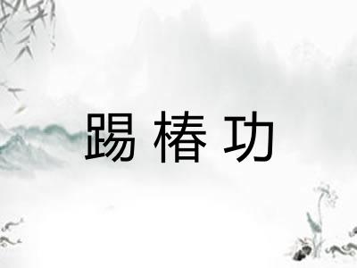 踢椿功 踢椿功