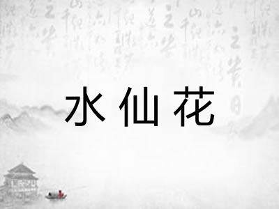 水仙花 水仙花