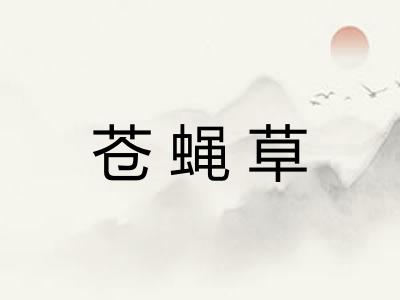 苍蝇草 苍蝇草