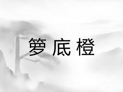 箩底橙 箩底橙
