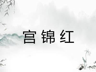 宫锦红 宫锦红
