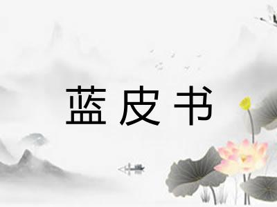 蓝皮书 蓝皮书