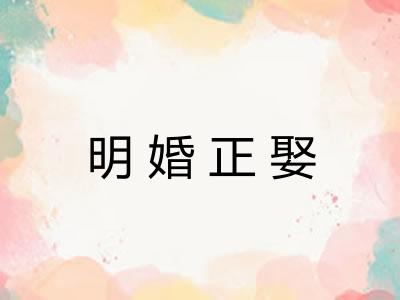 明婚正娶 明婚正娶