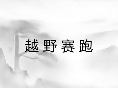 越野赛跑 越野赛跑