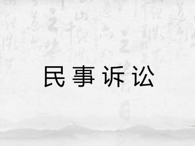 民事诉讼 民事诉讼