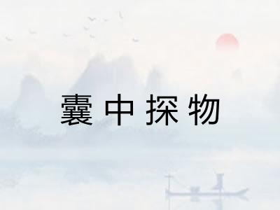 囊中探物 囊中探物