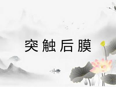 突触后膜 突触后膜