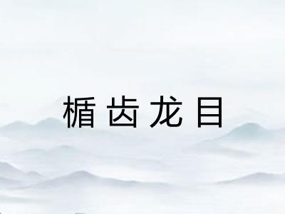 楯齿龙目 楯齿龙目