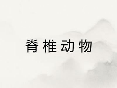 脊椎动物 脊椎动物