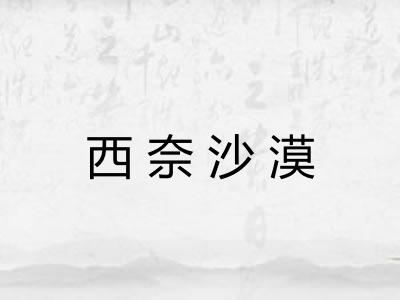 西奈沙漠 西奈沙漠