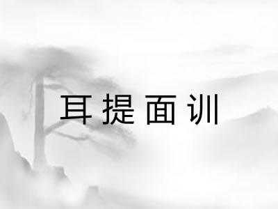 耳提面训 耳提面训