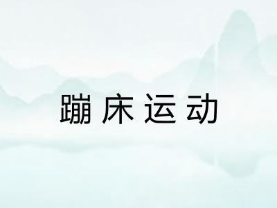 蹦床运动 蹦床运动