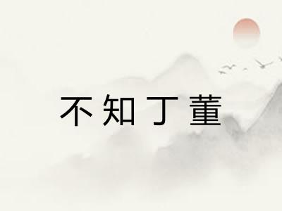 不知丁董 不知丁董